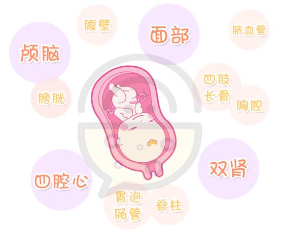 肚子里的宝宝健不健康,肚子里宝宝不健康孕妈有什么反应