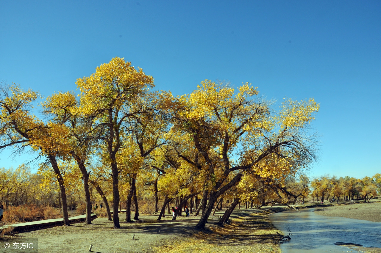 入群如何需本人同意,拉我入群需要我同意