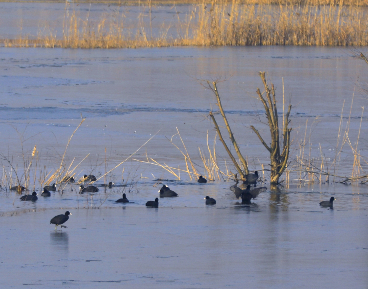 宿州市仙女湖,宿州天鹅湾湖