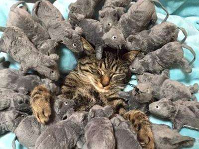 小时候看见的奇葩东西,小时候见到奇怪东西