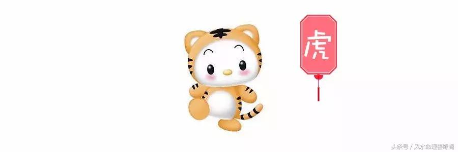 生肖与八字2022年运势及运程,从八字看十二生肖婚姻运势