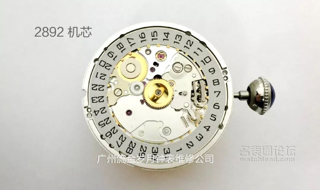 学会修表很简单:零基础也能学会2824、955、2834、2892机芯保养