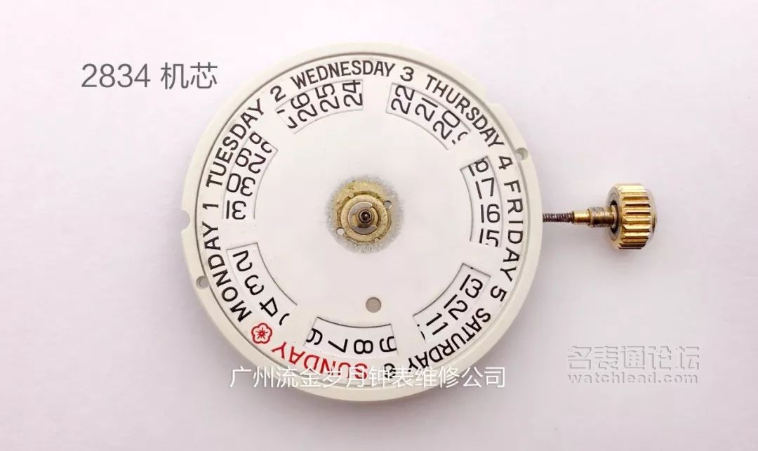 学会修表很简单:零基础也能学会2824、955、2834、2892机芯保养