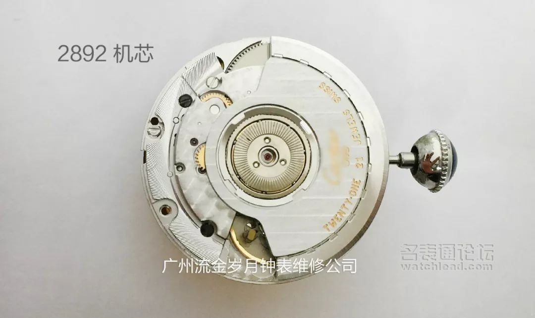 学会修表很简单:零基础也能学会2824、955、2834、2892机芯保养