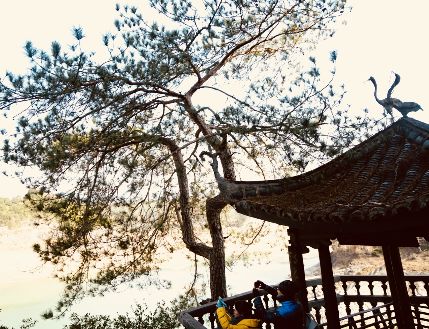 立春来湛山寺祈福,立春去白云观