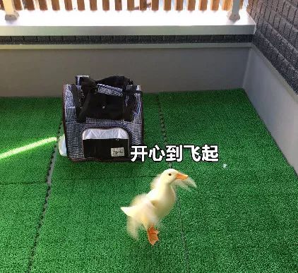 世界末日生存游戏,关于世界末日的游戏