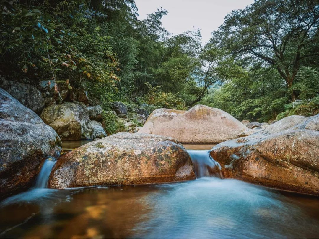浙江安吉号称第一竹乡吗,安吉联合国最宜居城市