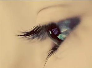 左眼跳财右眼跳灾搞笑段子,男人是左眼跳财右眼跳灾吗