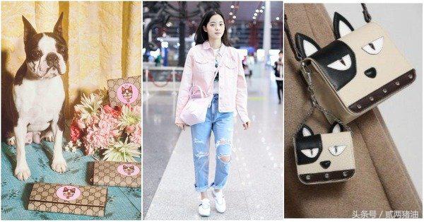 Gucci、LV、小CK狗年汪星人大集合!快把时尚汪们带回家