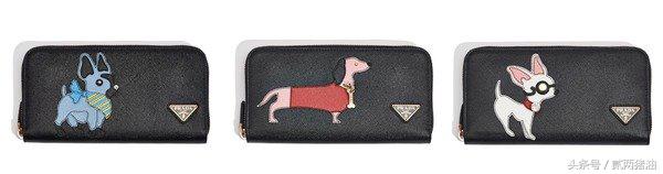 Gucci、LV、小CK狗年汪星人大集合!快把时尚汪们带回家