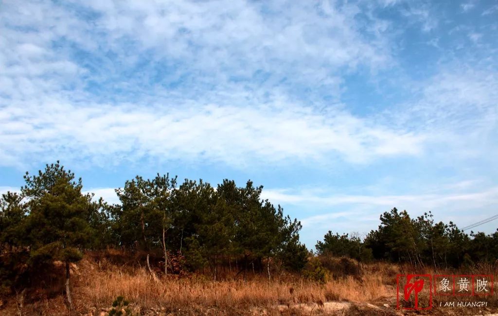 魅力蔡店,梦里家园
