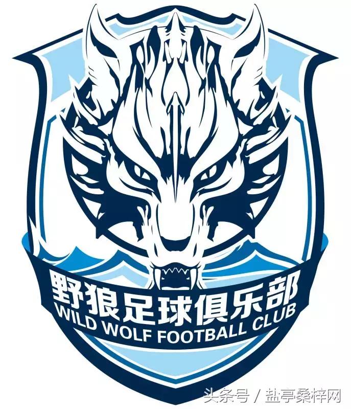 2018年“嫘祖·乘风杯”青少年足球俱乐部公开赛今天下午2点开幕