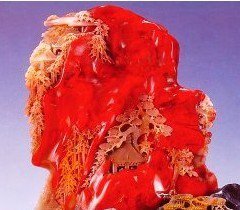 和田玉鸡血石的鉴别方法,鸡血石鉴别小视频