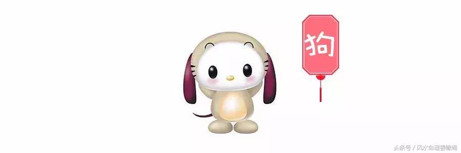 生肖与八字2022年运势及运程,从八字看十二生肖婚姻运势