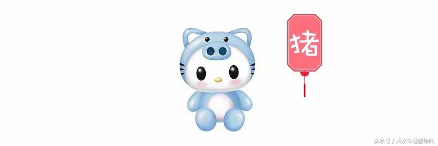 生肖与八字2022年运势及运程,从八字看十二生肖婚姻运势