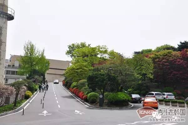 五一韩国游火爆吗,去韩国扫货注意什么