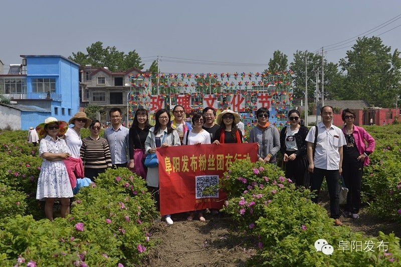 界首有个*瑰园玫**,美爆了!没去别后悔~