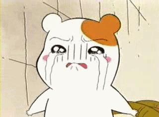 吊打敬业福、体彩和中国股市，这个节目有点厉害！