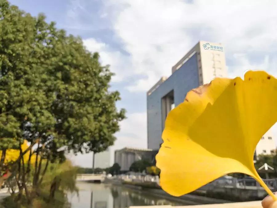 财务女相亲怎么找对象,财务女孩谈婚恋