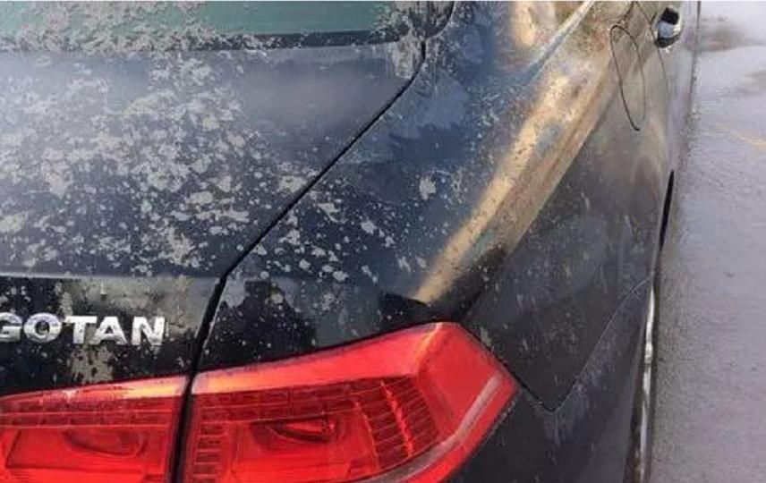 如何处理车漆表面已凝固的水泥,不能错过的小妙招