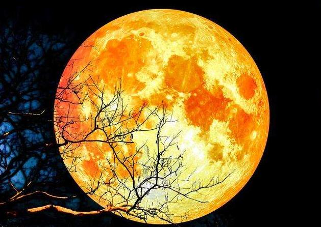 天象奇观和君共鉴,日食奇观难得见诗句