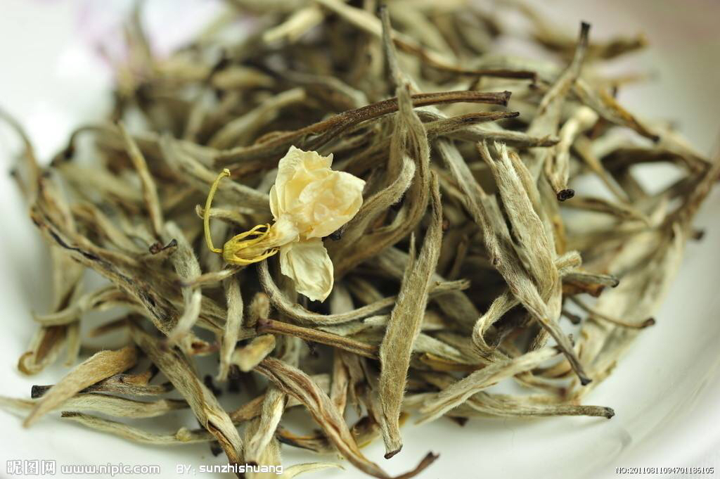 世界茉莉花茶发源地,世界上的茉莉花茶