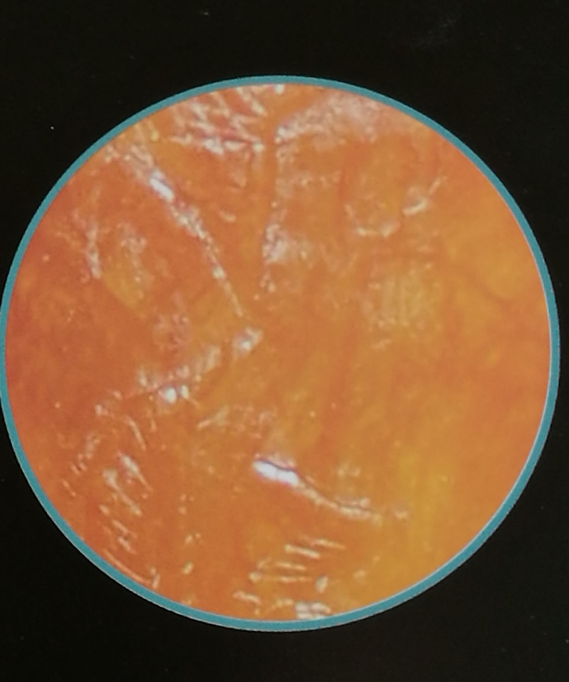 田黄石十大品种,皇帝田黄石品种图片