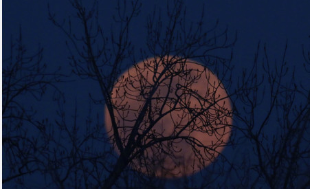 蓝血月出现意味着什么,超级蓝血月视频