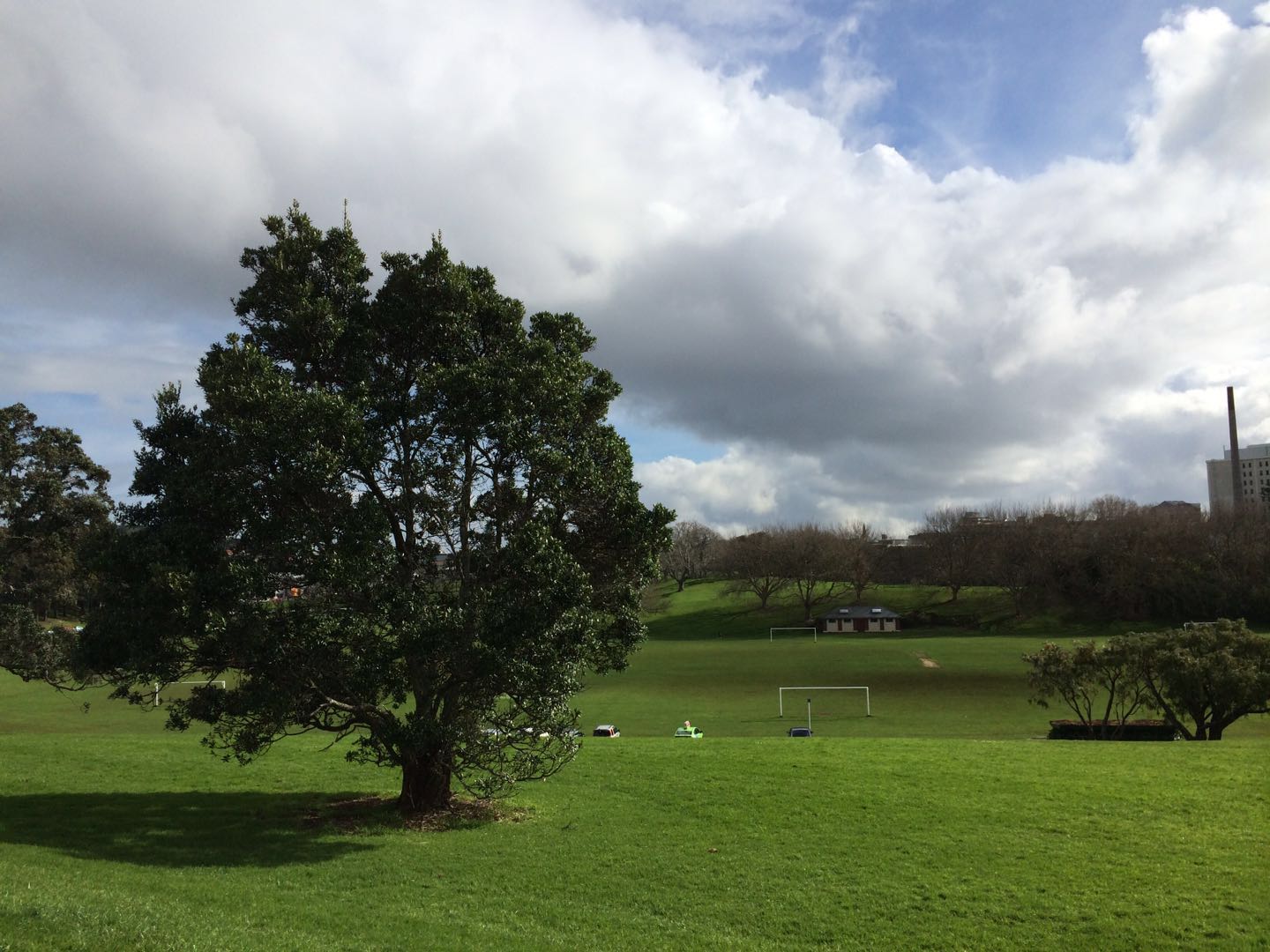 新西兰环岛旅行记,自由行新西兰奥克兰