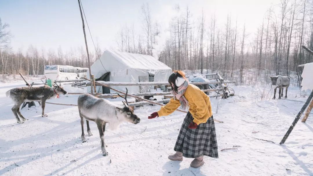 最后的驯鹿部落敖鲁古雅,中国最后原始部落敖鲁古雅