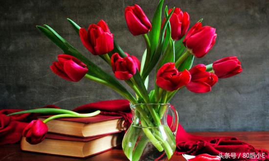 常见花的花语大全简单常见,常见花语大全50种花的花语