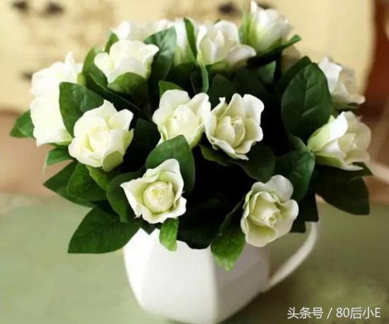 常见花的花语大全简单常见,常见花语大全50种花的花语