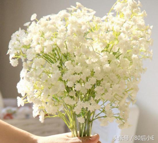 常见花的花语大全简单常见,常见花语大全50种花的花语