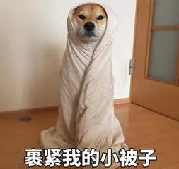 身体美白的有效方法冬季必备,一天就能让人变白的美白方法