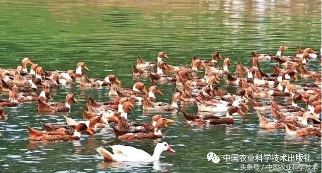 中国农产品地理标志丛书,农产品的地理标志书