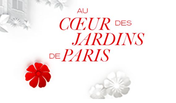 royce巧克力哪个味道最好吃,情人节royce生巧克力