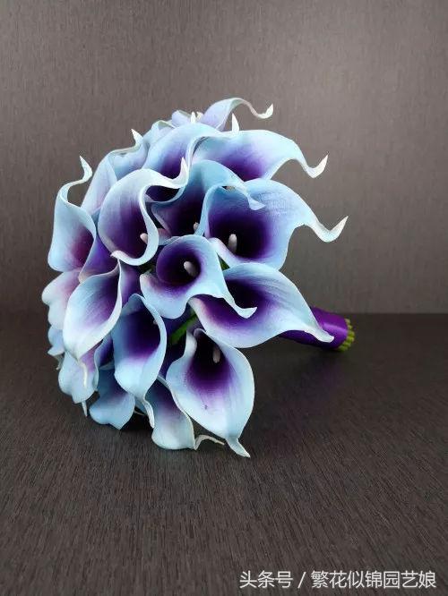 马蹄莲也是特别漂亮的盆栽花卉,马蹄莲切花的养殖方法