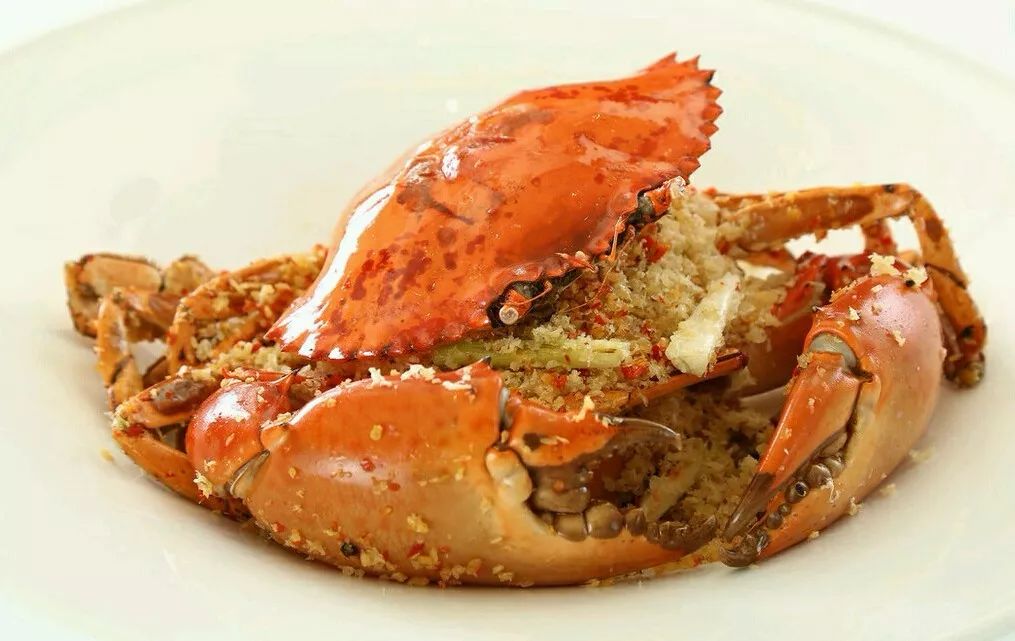 年夜饭探店盘点,大嘴探店在哪里