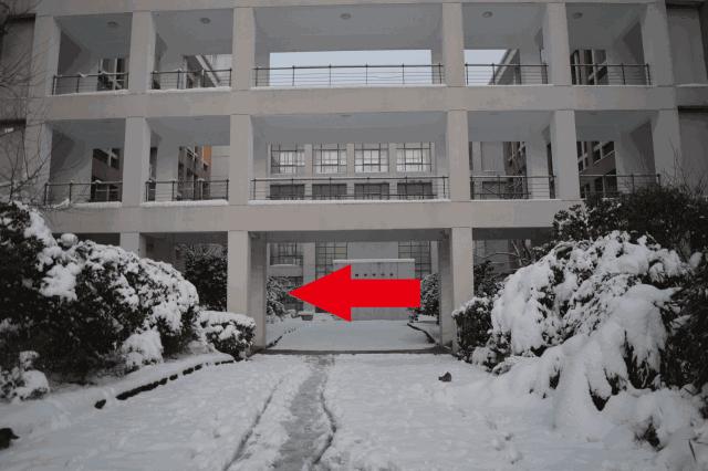 别担心,医学院的猫都还挺好的