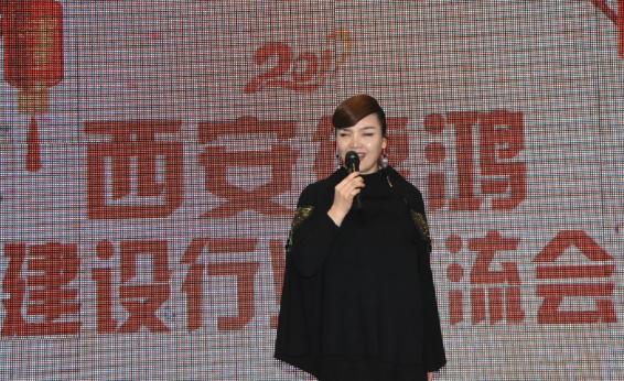 陕西德鸿集团年会,德鸿集团交流会