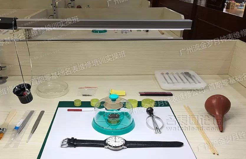 学会修表很简单:零基础也能学会2824、955、2834、2892机芯保养