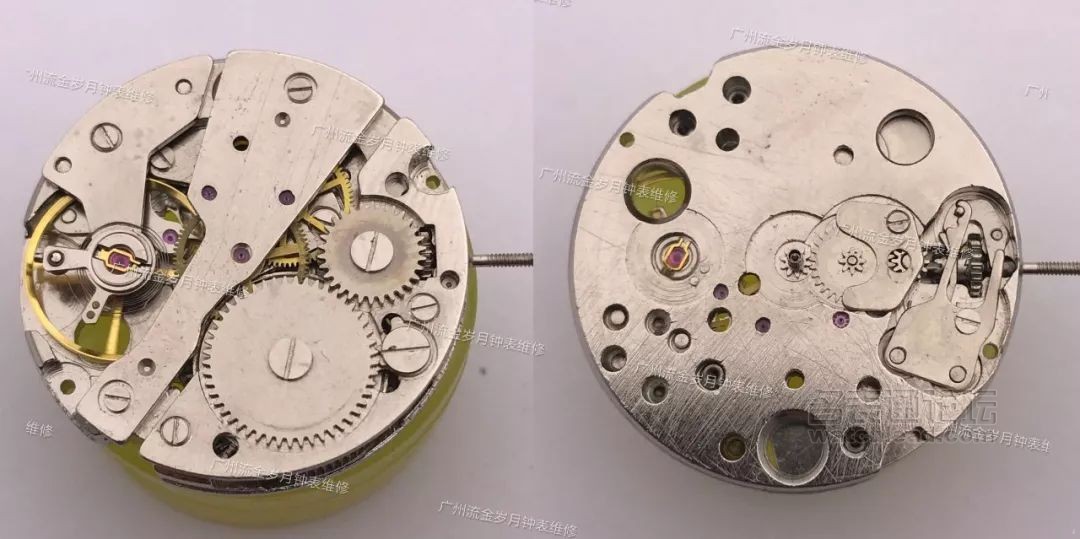 学会修表很简单:零基础也能学会2824、955、2834、2892机芯保养