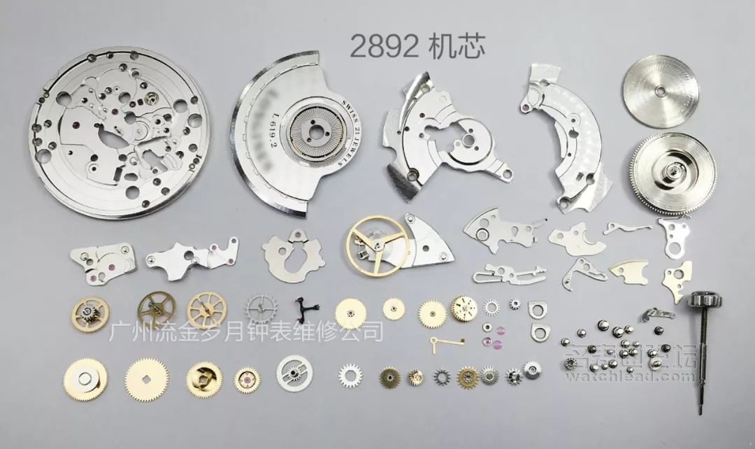 学会修表很简单:零基础也能学会2824、955、2834、2892机芯保养