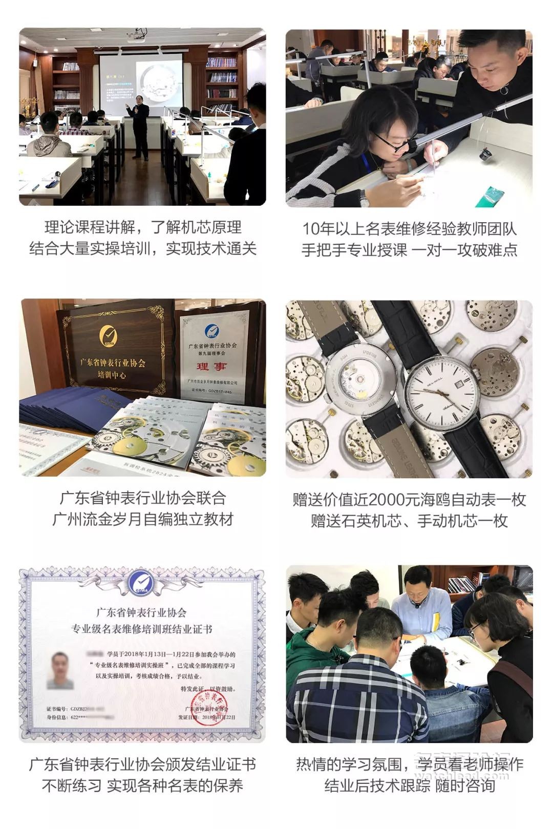 学会修表很简单:零基础也能学会2824、955、2834、2892机芯保养