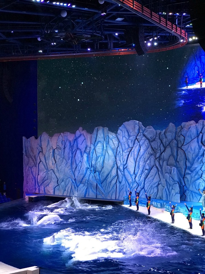 两天一晚珠海长隆旅游攻略,珠海长隆旅行一日游需要准备什么