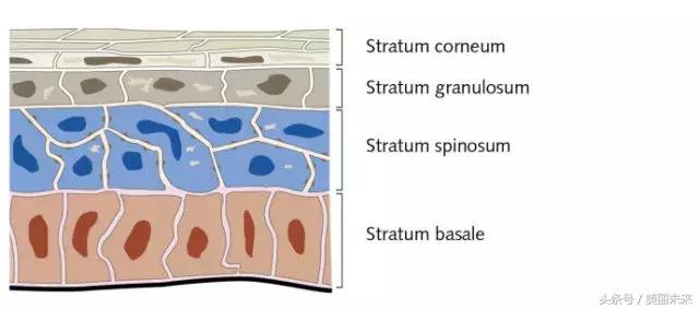 扒一扒水果敷脸都有哪些坏处？