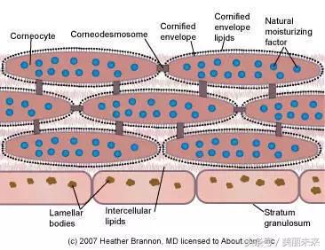 扒一扒水果敷脸都有哪些坏处？