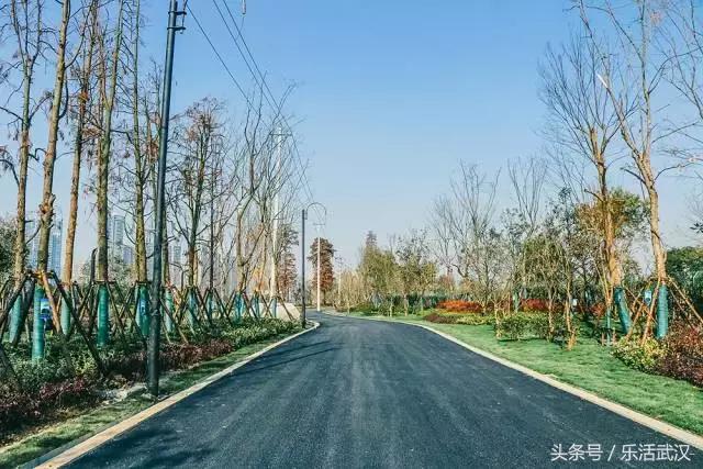 武汉春节新玩法,有一种过年叫宅在家里