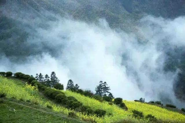 国内风景最好的旅游景点冬天,国内各地最美的十大自驾游线路