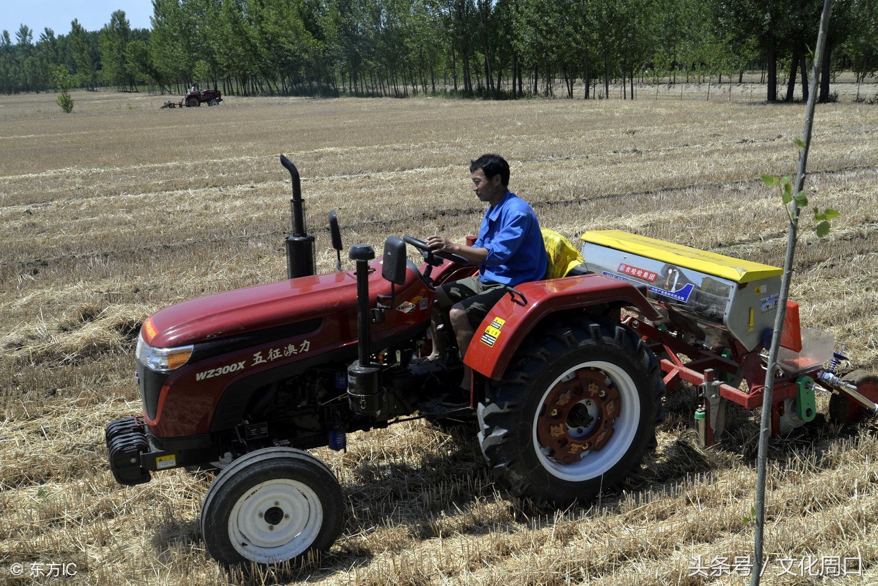 文化周口|河南周口淮阳县曹河乡